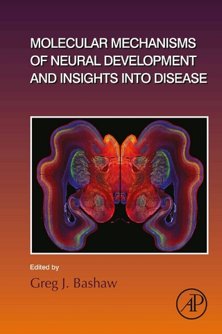 Molecular Mechanisms of Neural Development and Insights into Disease