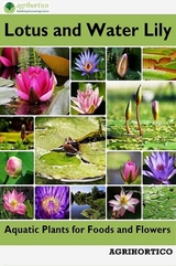 Lotus and Water Lily - 
