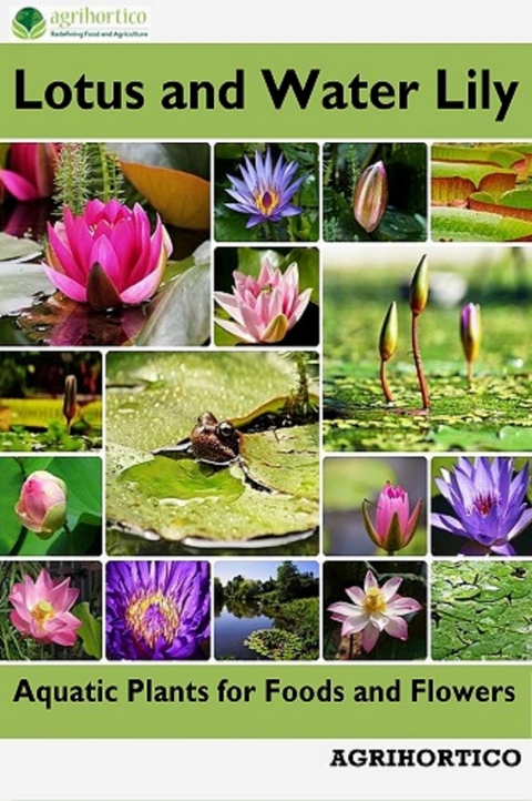 Lotus and Water Lily - 