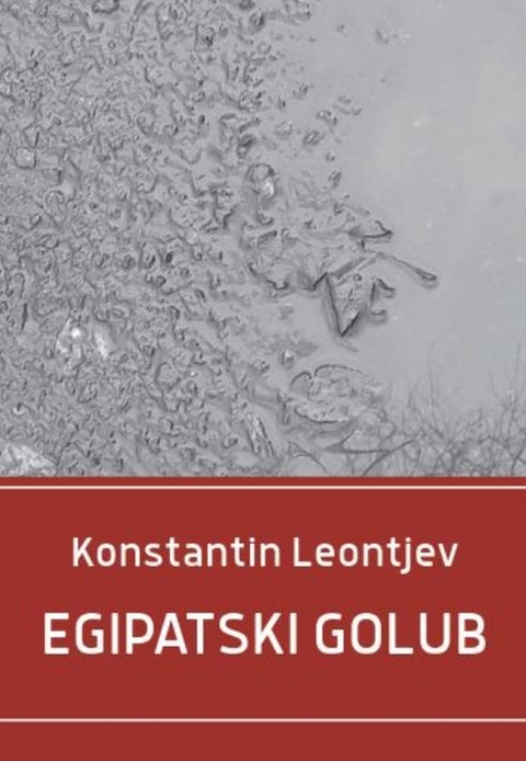 Egipatski golub - Konstantin Leontjev