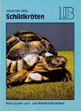 Schildkr&ouml;ten - Johannes Jahn