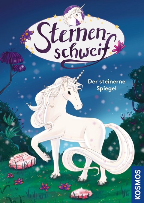 Sternenschweif, Der steinerne Spiegel - Linda Chapman