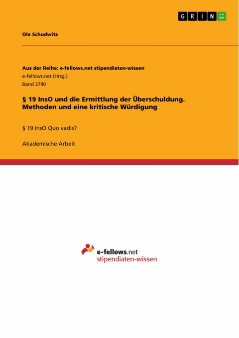 &sect; 19 InsO und die Ermittlung der &Uuml;berschuldung. Methoden und eine kritische W&uuml;rdigung - Ole Schudwitz