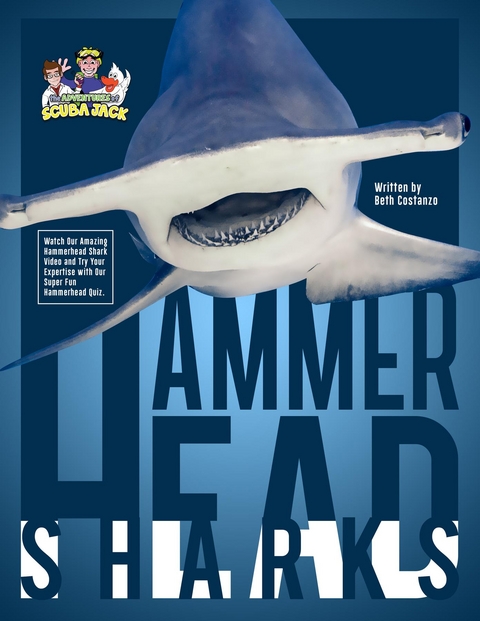 Hammerhead Sharks - Beth Costanzo