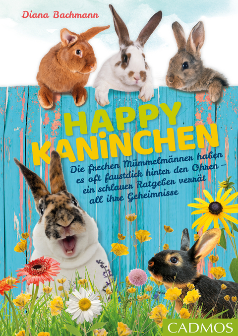 Happy Kaninchen -  Diana Bachmann