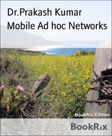 Mobile Ad hoc Networks - Dr.Prakash Kumar