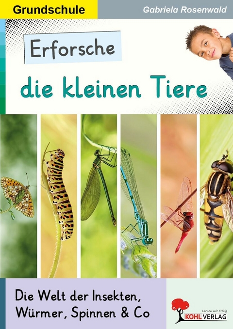 Erforsche die kleinen Tiere -  Gabriela Rosenwald