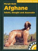Afghane - Saluki, Sloughi und Azawakh - Roth, Margit