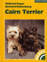 Cairn Terrier - Peper; Bottenberg