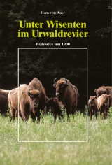 Unter Wisenten im Urwaldrevier - Auer, Hans von