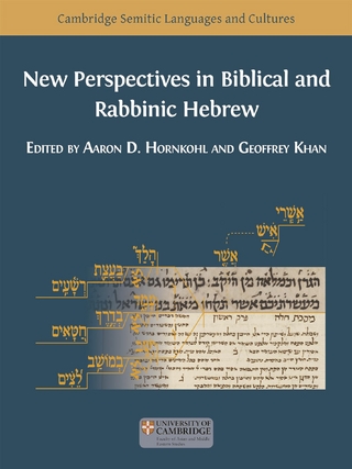 New Perspectives in Biblical and Rabbinic Hebrew
