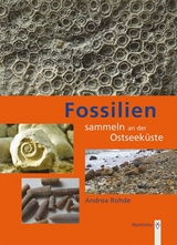 Fossilien sammeln an der Ostseek&uuml;ste - Andrea Rohde