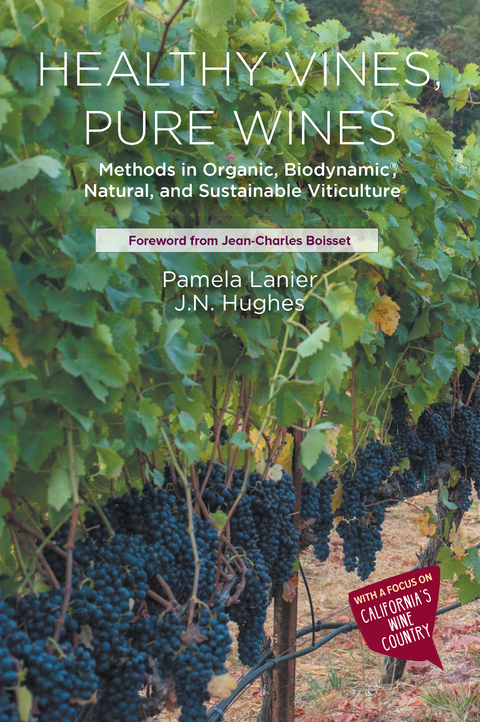 Healthy Vines, Pure Wines - Pamela Lanier, Jessica Nicole Hughes