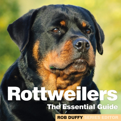 Rottweilers - 