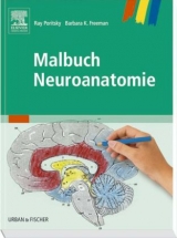 Malbuch Neuroanatomie - 
