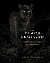 Black Leopard -  Will Burrard-Lucas