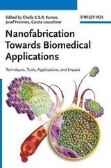 Nanofabrication Towards Biomedical Applications - 