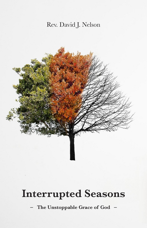 Interrupted Seasons - David J Nelson