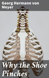 Why the Shoe Pinches - Georg Hermann Von Meyer