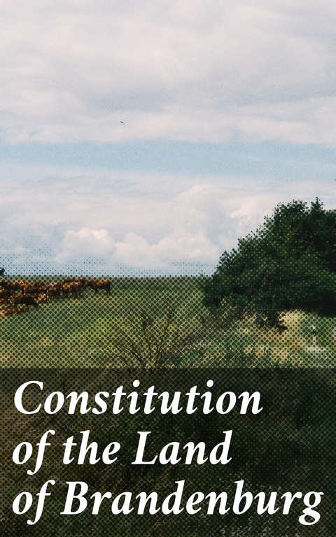 Constitution of the Land of Brandenburg - Government of Brandenburg