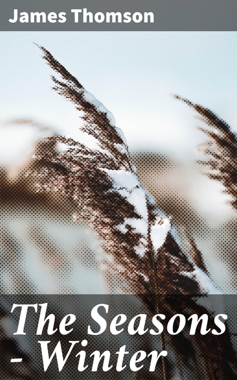 The Seasons &mdash; Winter - James Thomson