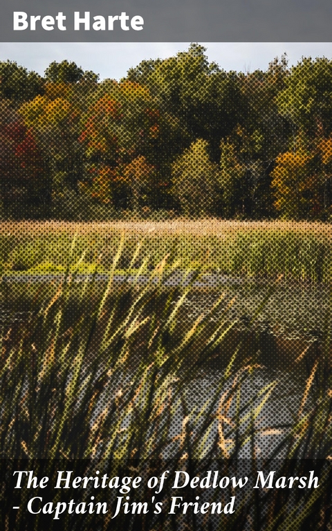 The Heritage of Dedlow Marsh &mdash; Captain Jim's Friend - Bret Harte