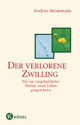 Der verlorene Zwilling - Evelyne Steinemann