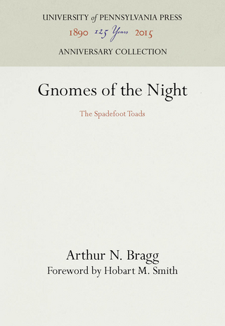 Gnomes of the Night