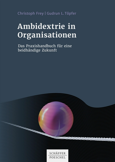 Ambidextrie in Organisationen - Christoph Frey, Gudrun L. T&ouml;pfer