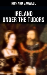 Ireland under the Tudors - Richard Bagwell