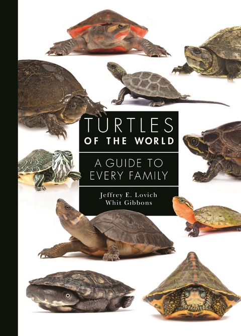 Turtles of the World - Jeffrey E. Lovich, Whit Gibbons