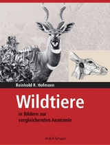 Wildtiere in Bildern zur Vergleichenden Anatomie - Reinhold R. Hofmann