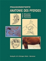 Praxisorientierte Anatomie und Prop&auml;deutik des Pferdes - H Wissdorf, H Gerhards, B Huskamp, E Deegen