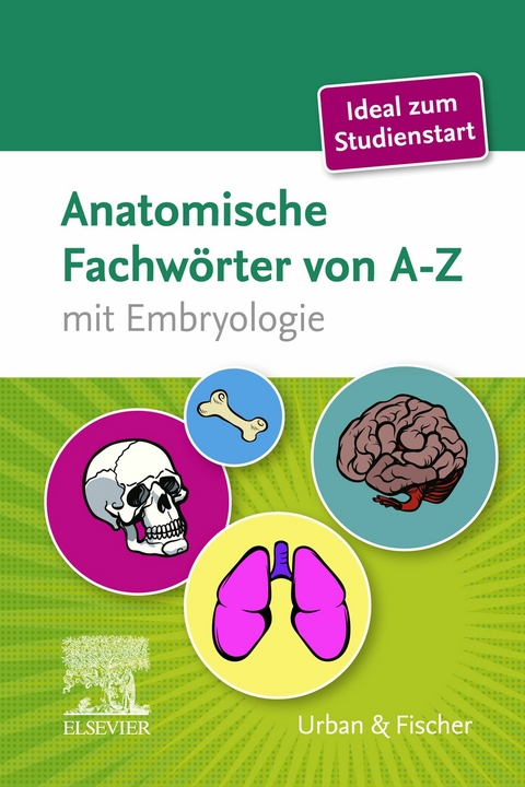 Anatomische Fachw&ouml;rter von A-Z