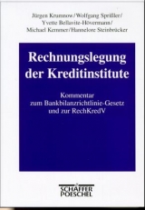 Rechnungslegung der Kreditinstitute - J&uuml;rgen Krumnow, Wolfgang Spri&szlig;ler, Yvette Bellavite-H&ouml;vermann, Michael Kemmer, Hannelore Steinbr&uuml;cker