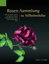 Rosen-Sammlung zu Wilhelmsh&ouml;he - 