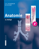 Anatomie - Theodor H. Schiebler, Horst-W. Korf