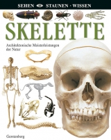 Skelette - 