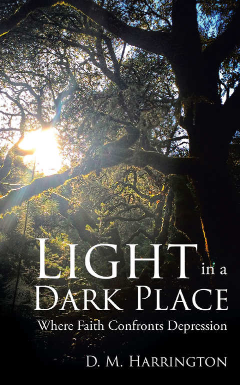 Light in a Dark Place - D. M. Harrington
