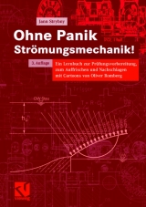 Ohne Panik Str&ouml;mungsmechanik! - Jann Strybny