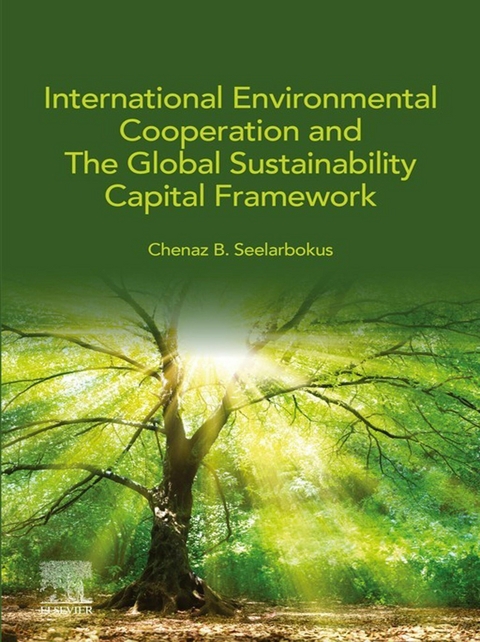 International Environmental Cooperation and The Global Sustainability Capital Framework -  Chenaz B. Seelarbokus