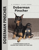 Doberman Pinscher - Lou-Ann Cloidt