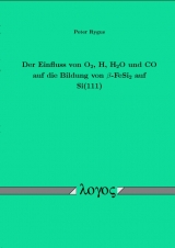 Der Einfu&szlig; von O2, H, H2O und CO auf die Bildung von beta-FeSi2 auf Si(111) - Peter Rygus