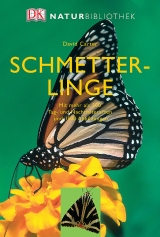 Schmetterlinge - David Carter
