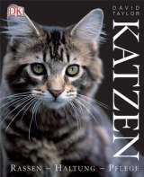Katzen - David Taylor