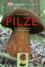 Pilze - Thomas Laessoe