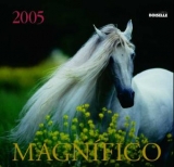 Magnifico 2005 - 