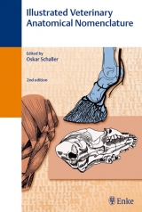 Illustrated Veterinary Anatomical Nomenclature - Schaller, Oskar