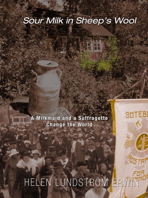 Sour Milk in Sheep's Wool - Helen Lundstr&ouml;m Erwin