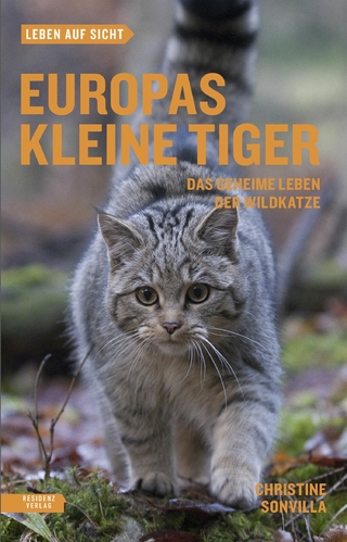 Europas kleine Tiger